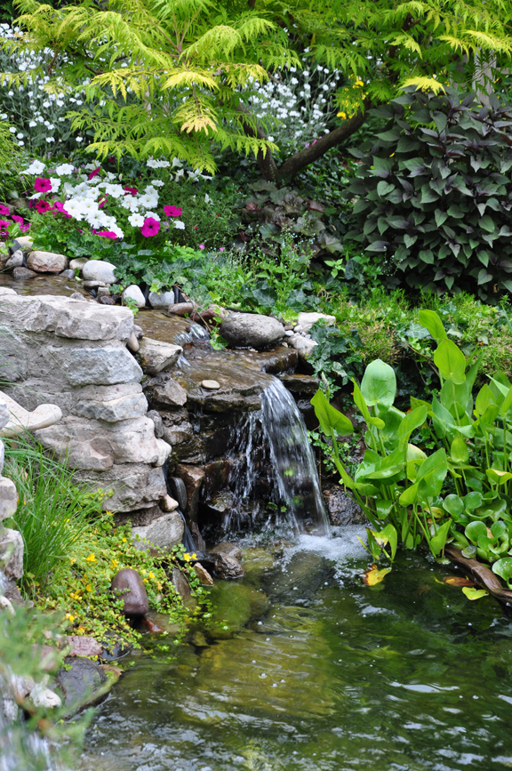 Three Dogs in a Garden: A Small Garden with a Pretty Pond Three Dogs in a Garden: A Small Garden with a Pretty Pond on Small Backyard Pond id=61465