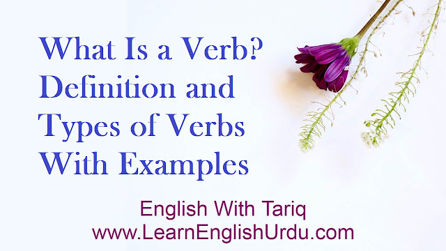 Types of Verbs With Examples