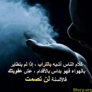 dfb9cefa2b8db9d507a02e744c8e0e10