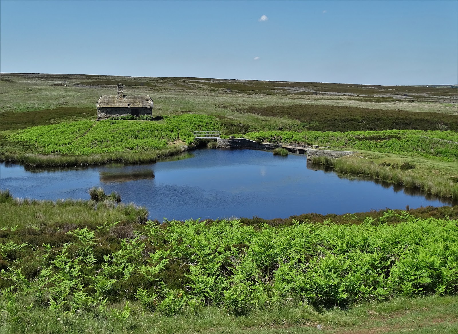 Yorkshire Pudding: Picnic