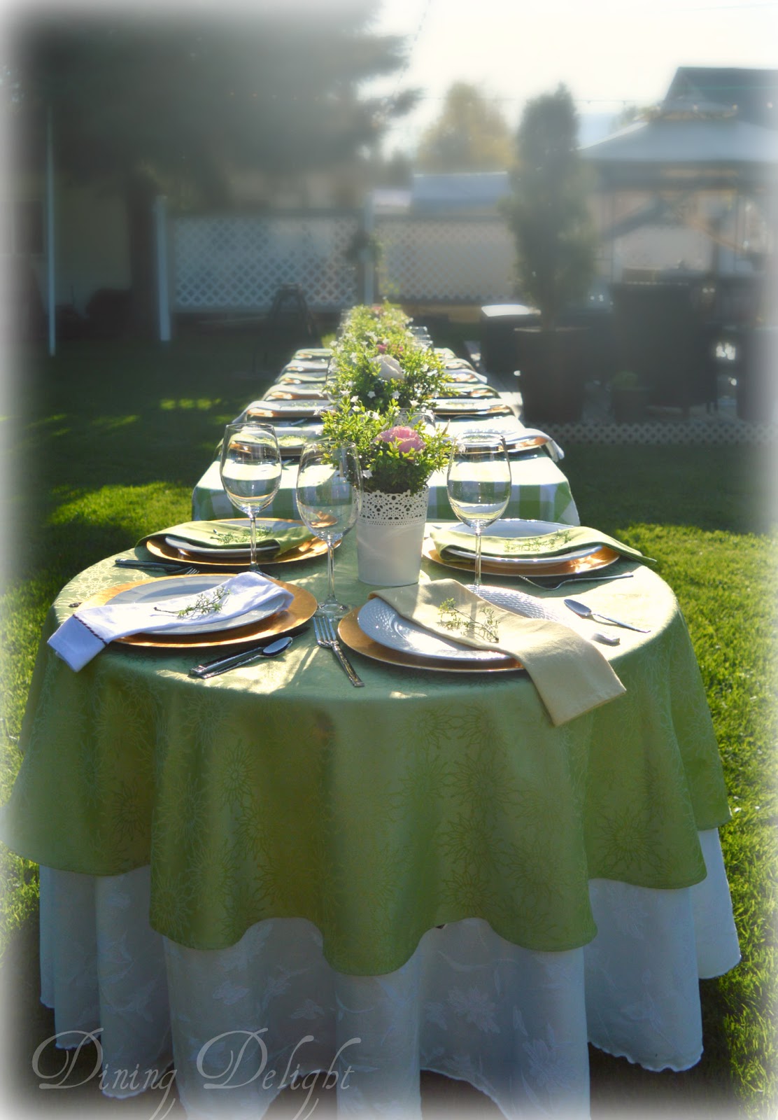Dining Delight