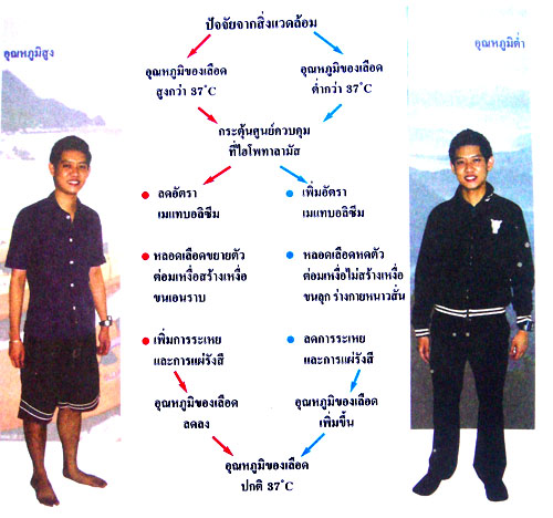 My Image 23
