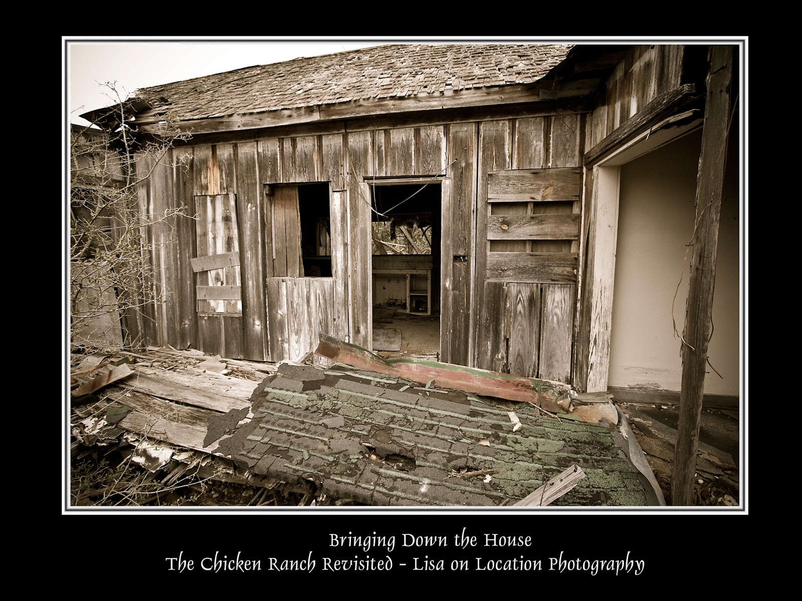 Lisa on Location: It's Finally Out! Inside the Texas Chicken Ranch: Definitive Account ...