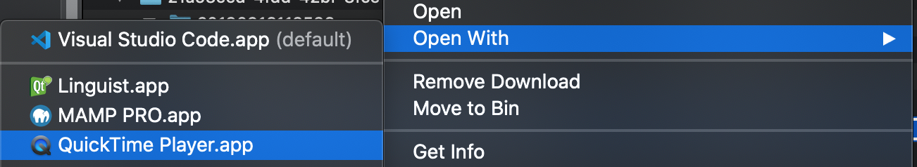 quicktime for mac .ts quicktime for mac .ts