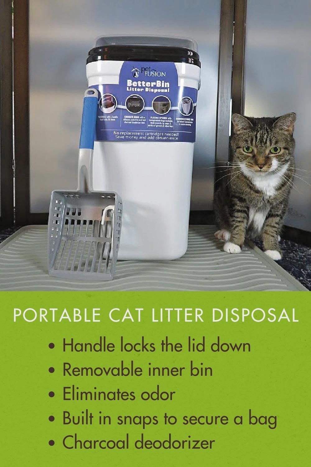 Create a Litter Box Privacy Zone with PetFusion Lola The Rescued Cat