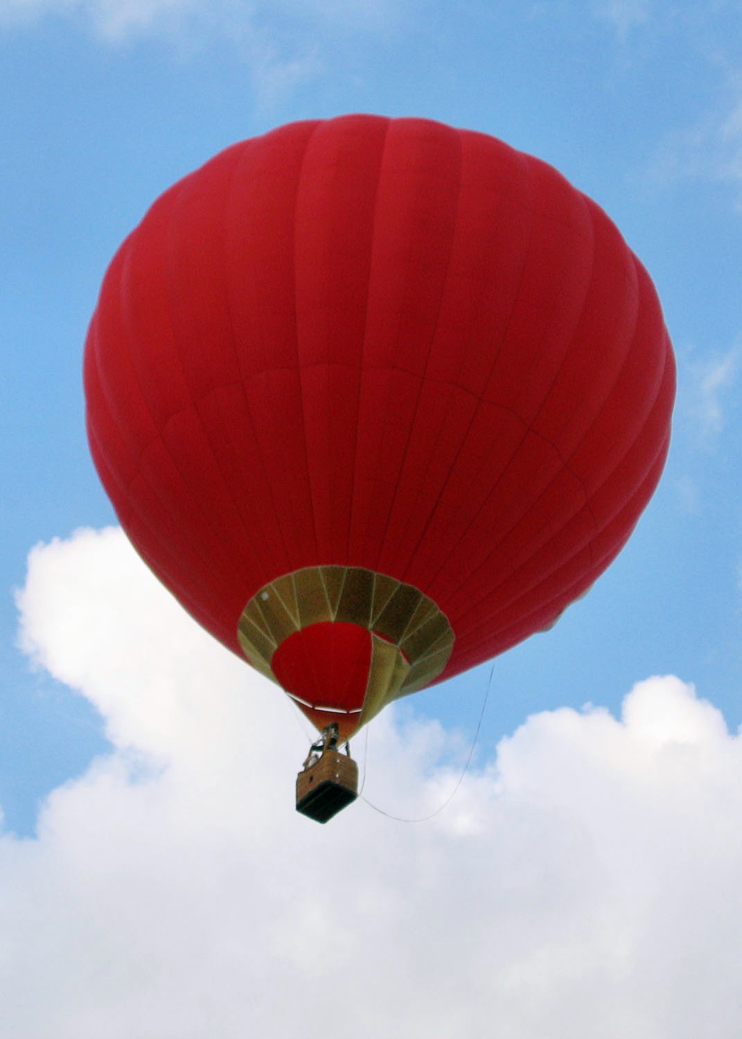 Воздушный шар 39
