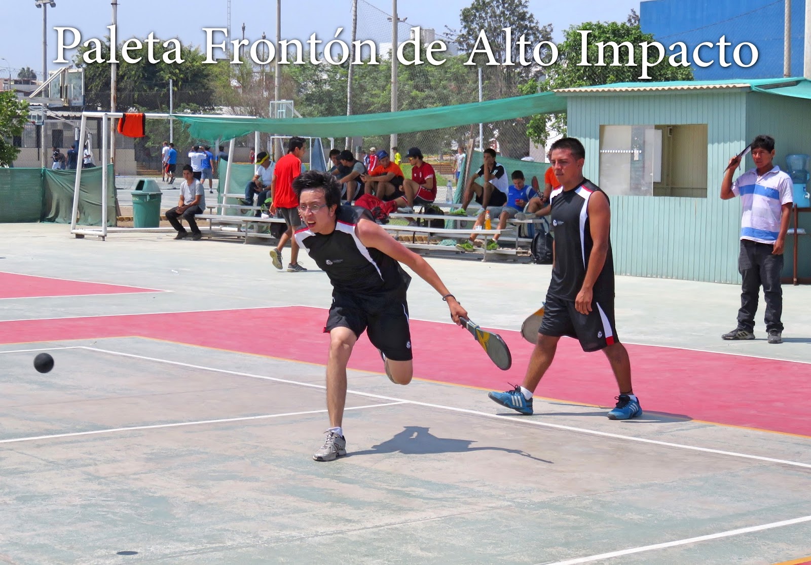 Paleta Frontón de Alto Impacto abril 2016 Armario Odontologico Com Pia ~ Paleta Frontón de Alto Impacto abril 2016