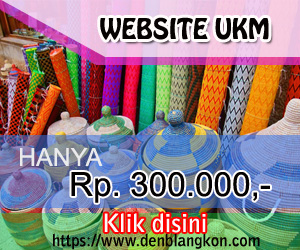 jasa web ukm