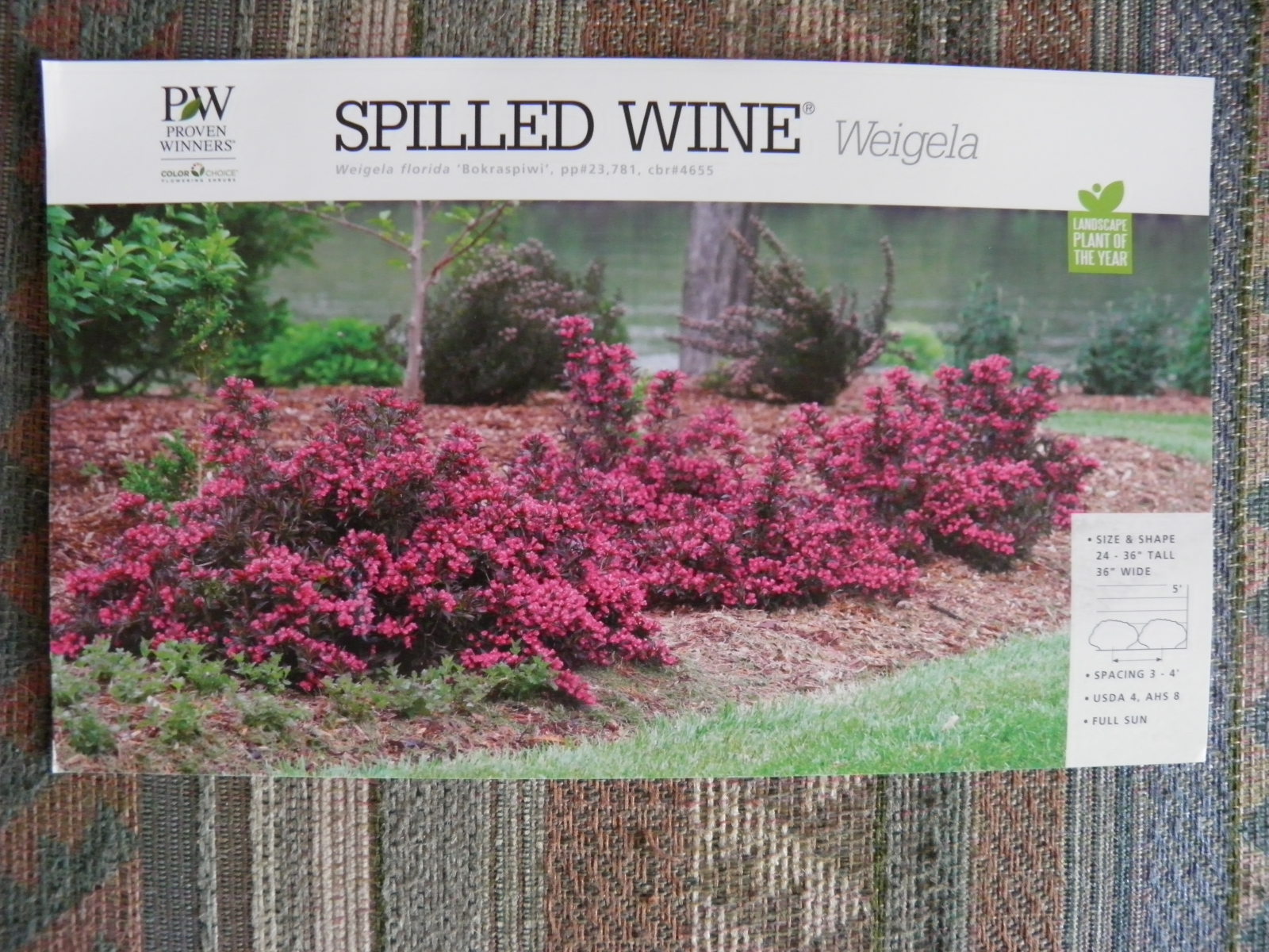 The Plant Hunter Good Gardens Start With Foliage Not Flowers