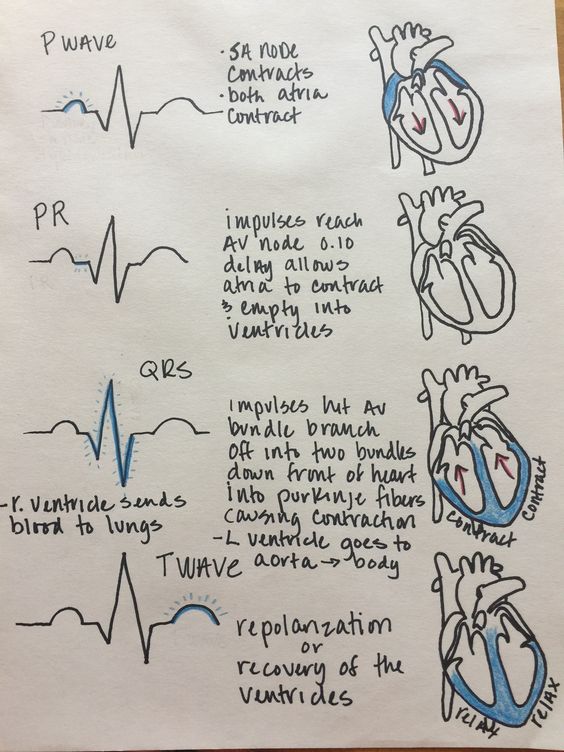 Featured image of post Dibujos De Medicina Tumblr Facebook twitter reddit whatsapp tumblr pinterest vk correo electr nico