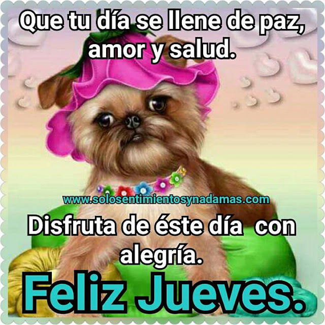 Feliz jueves.