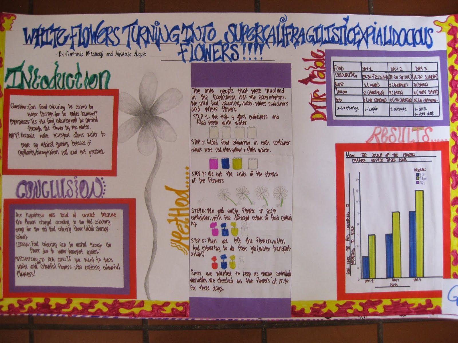 Bridges Academy Science Fair 2013 Bridges Academy Science Fair Projects