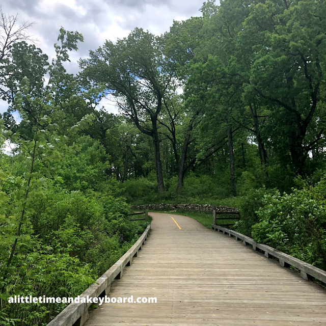A Little Time and a Keyboard Basking in Nature at Hastings Lake Forest