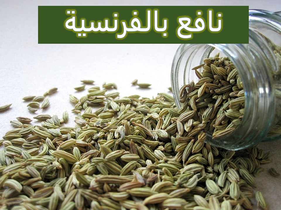 نافع بالفرنسية مع فوائده الصحية والغذائية نافع بالفرنسية مع فوائده الصحية والغذائية