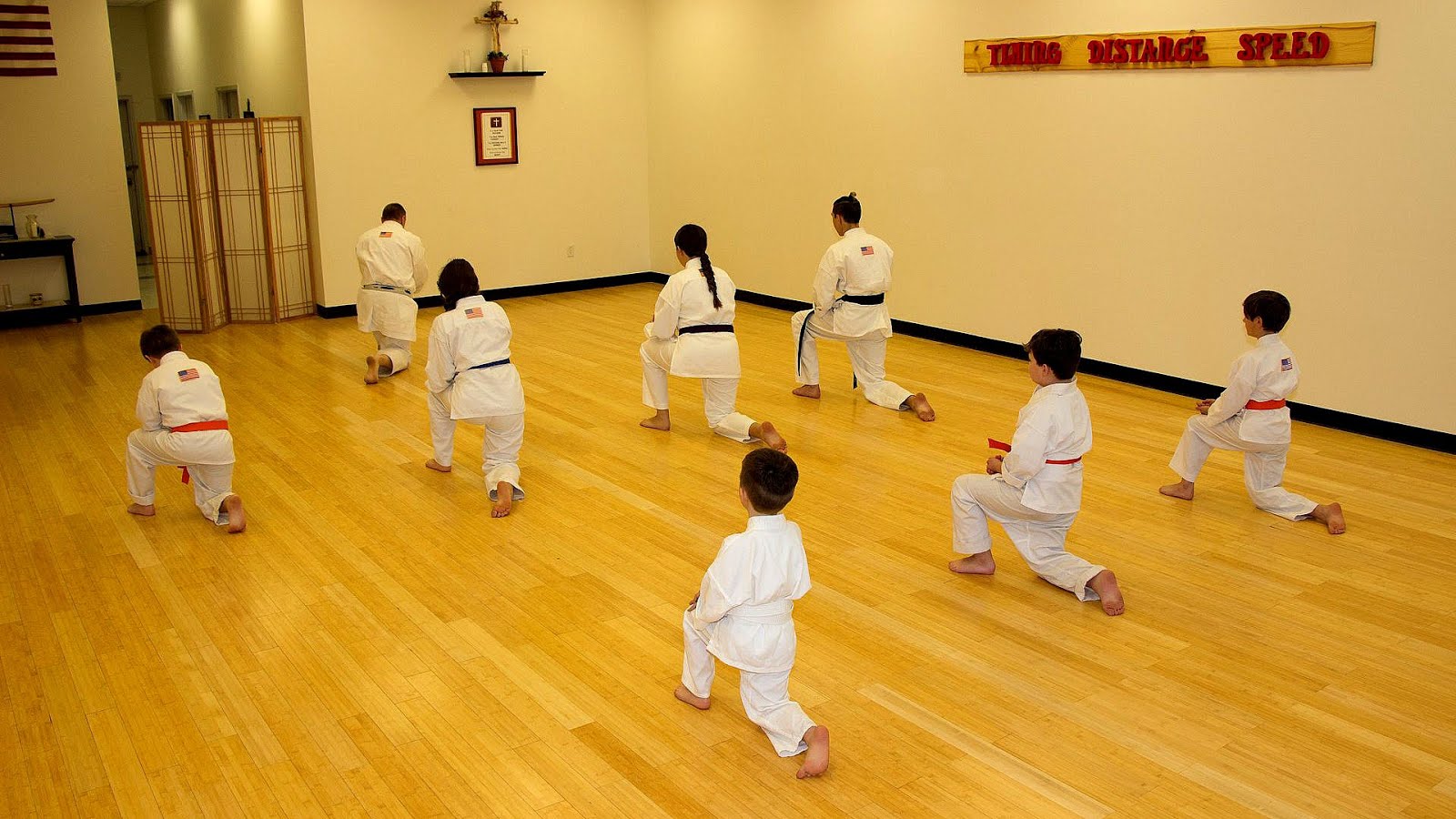 Karate Karate Facts Karate Choices