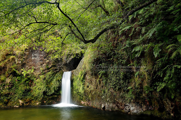 Rincón paradisiaco