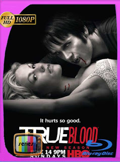 True Blood (Sangre verdadera) Serie Completa [1080p] Latino [GoogleDrive] PGD