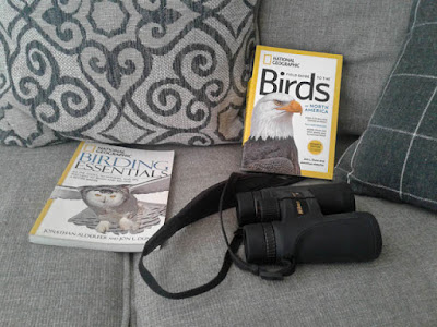 Photo of simple birding kit