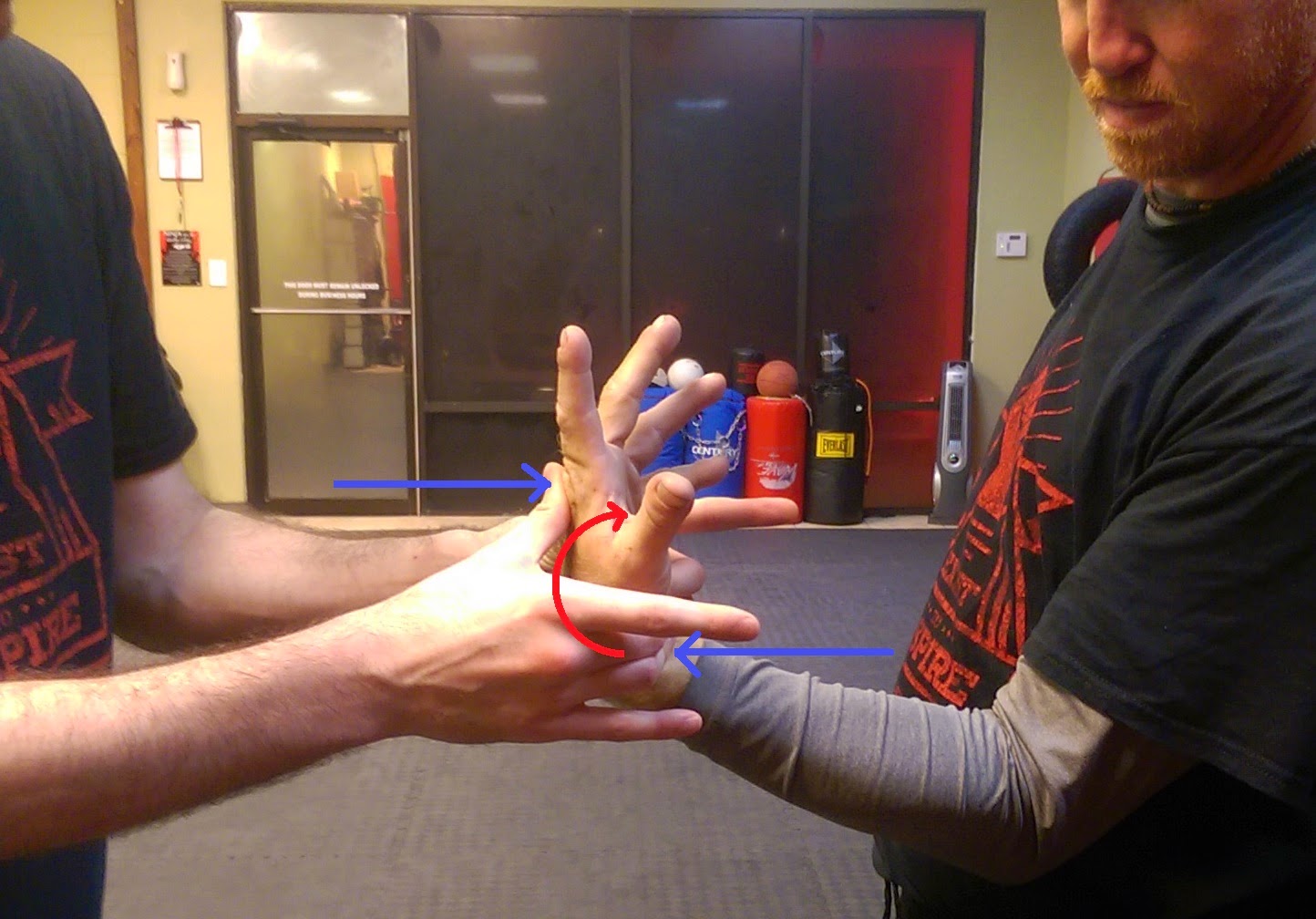 Martial Arts Science Joint Locks