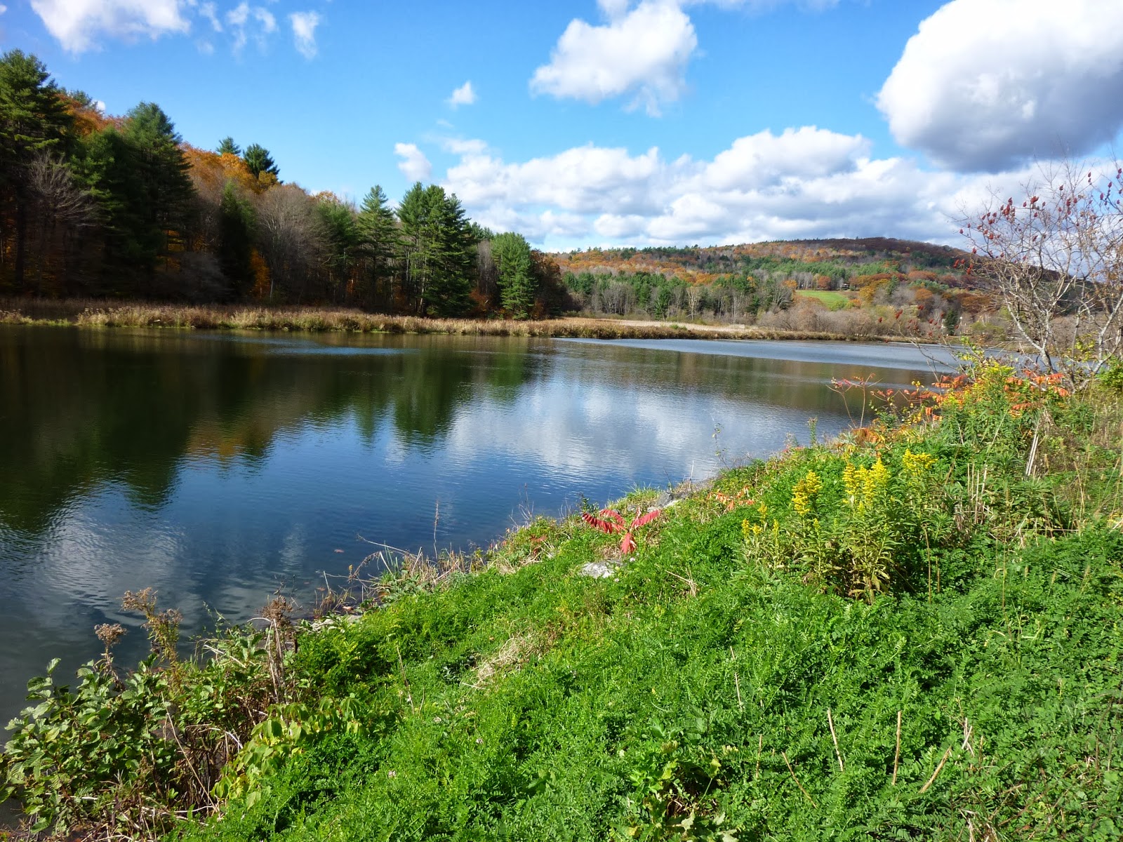 Cournoyer Connection Quechee and Long Trail Brewery, VT
