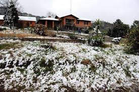 A foto mostra a neve ao amanhecer e já congelada na Região Sul do Brasil. A foto mostra a neve ao amanhecer e já congelada na Região Sul do Brasil.