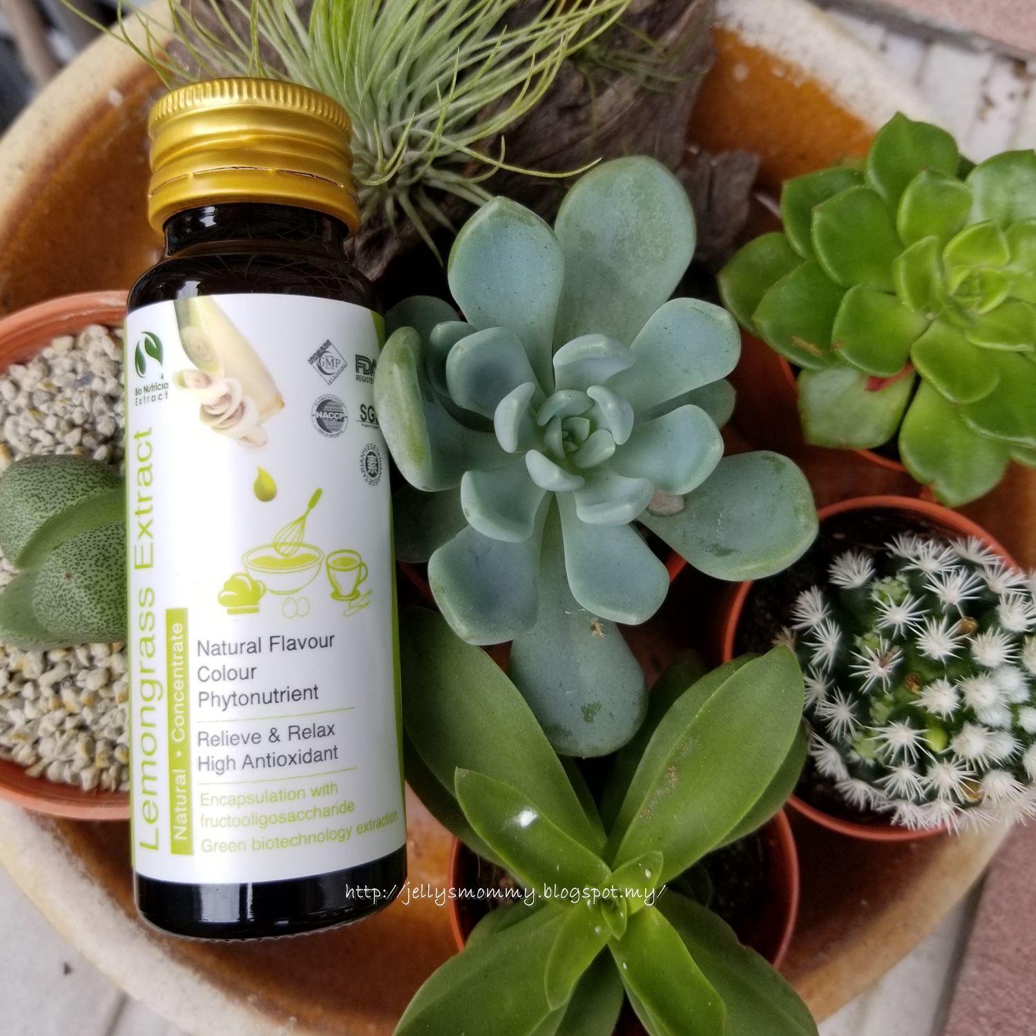 A little bit of Everything BioNutricia Extract Product Review