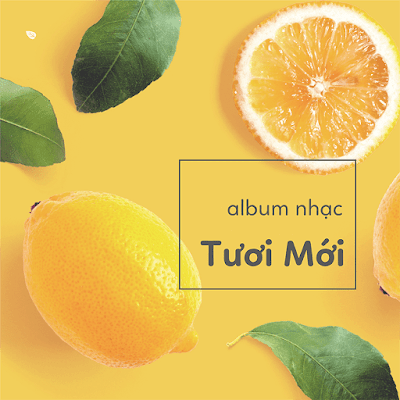 [A79] Nhạc cổ điển cho Bà Bầu: Kích thích sự tập trung của Trẻ