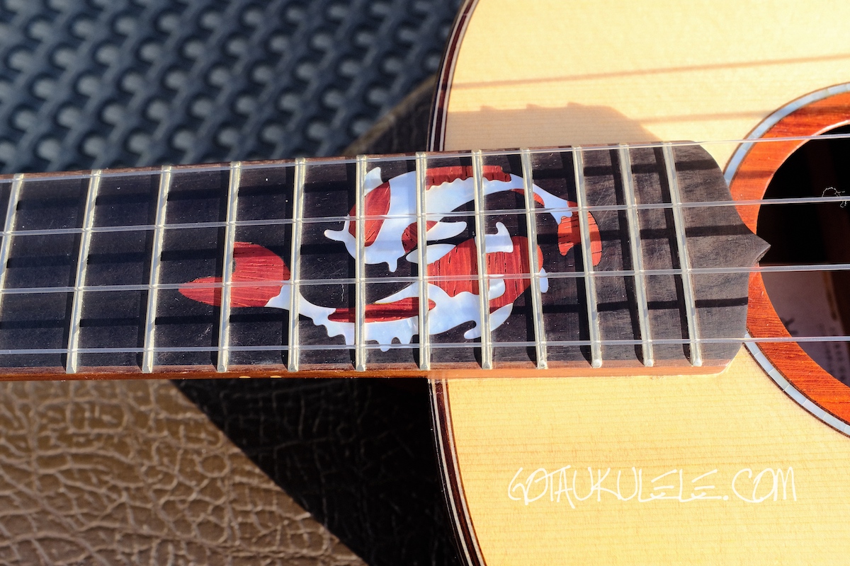 GOT A UKULELE Ukulele reviews and beginners tips Maestro UT MR