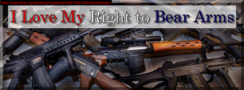My Right to Keep and Bear Arms