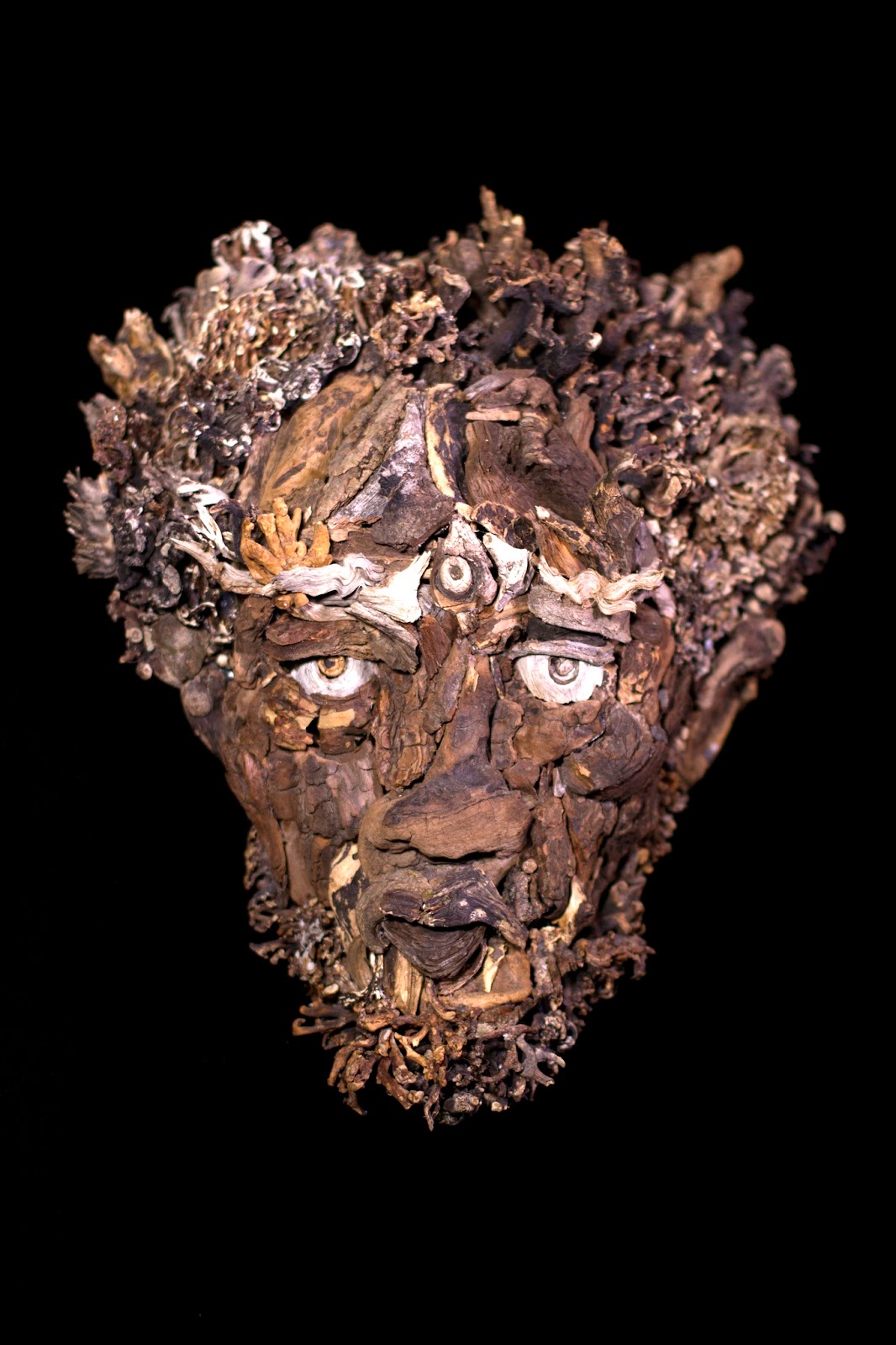 Driftwood art, found wood sculpture: Eyevan Tumbleweed's Driftwood and ...