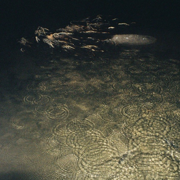 FRED. – echo – Single