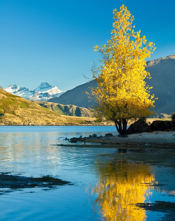 Surface water - Lake Wanaka, New Zealand