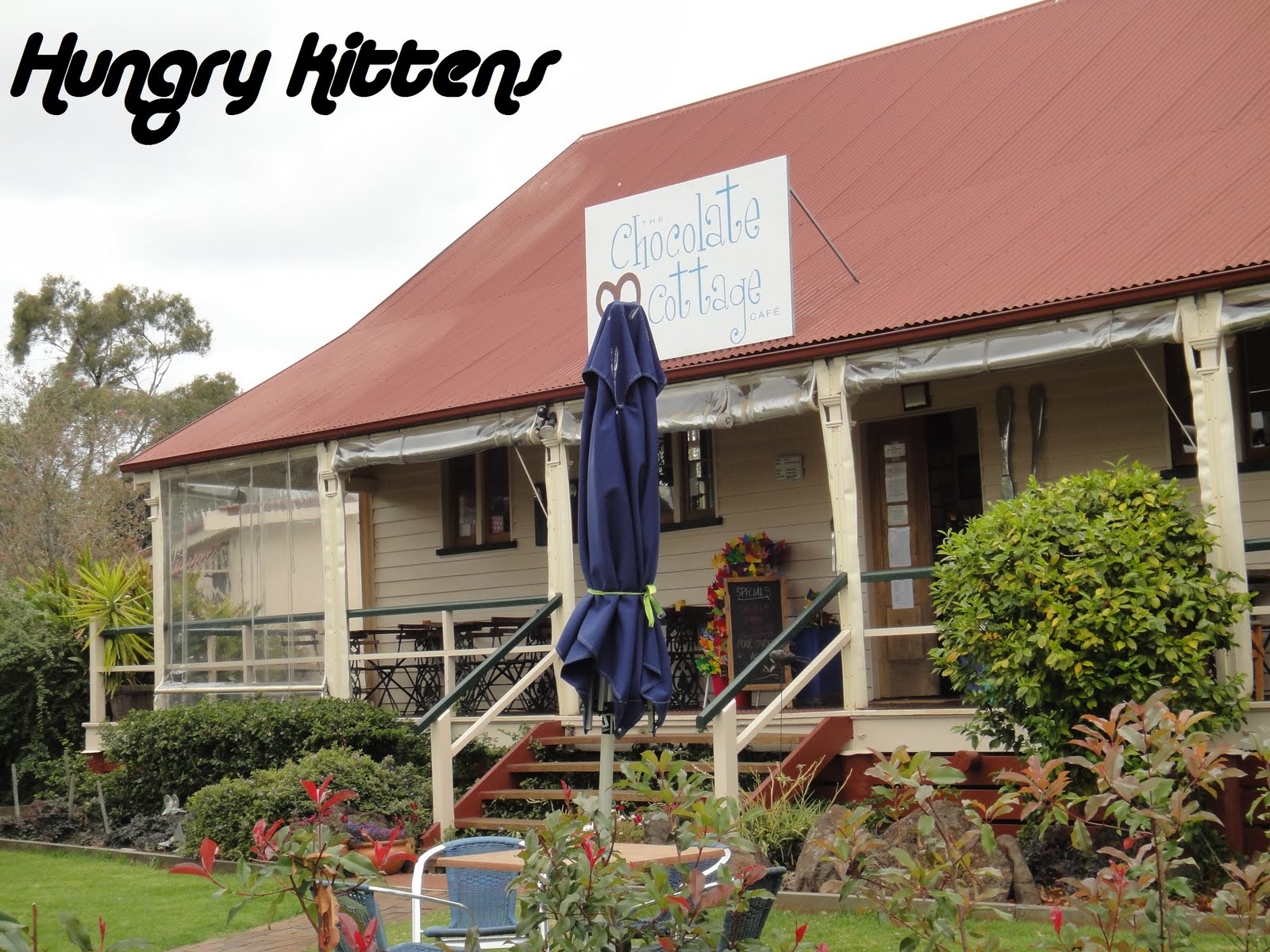 Hungry Kittens The Chocolate Cottage
