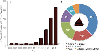 Rise in in publications about fecal microbiota transplants. Image credit: http://journals.plos.org/plosbiology/article?id=10.1371%2Fjournal.pbio.1002503