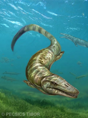 Pannoniasaurus