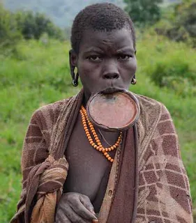 Surma African Tribe Lip Plate People of Africa
