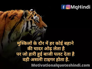 Tiger Status Tiger Status