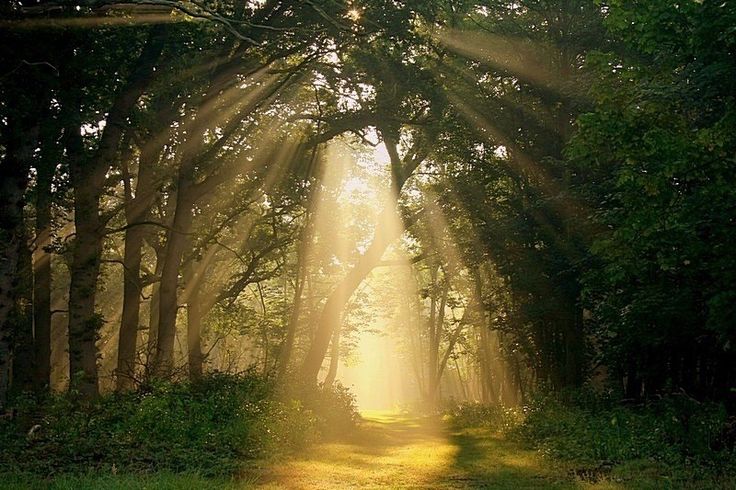 human essence meaning