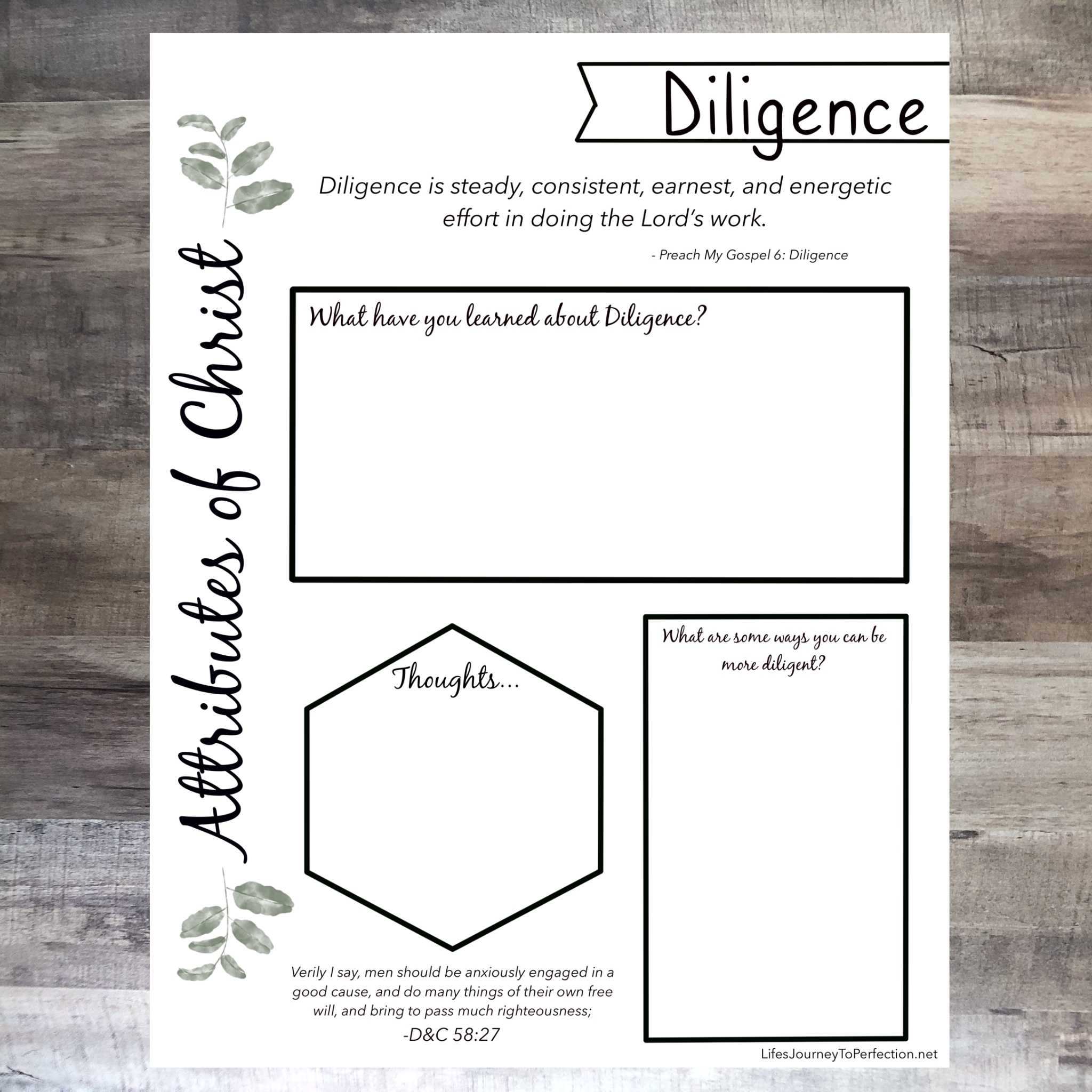 Life's Journey To Perfection Spiritual Goal, A Year of Coming Unto