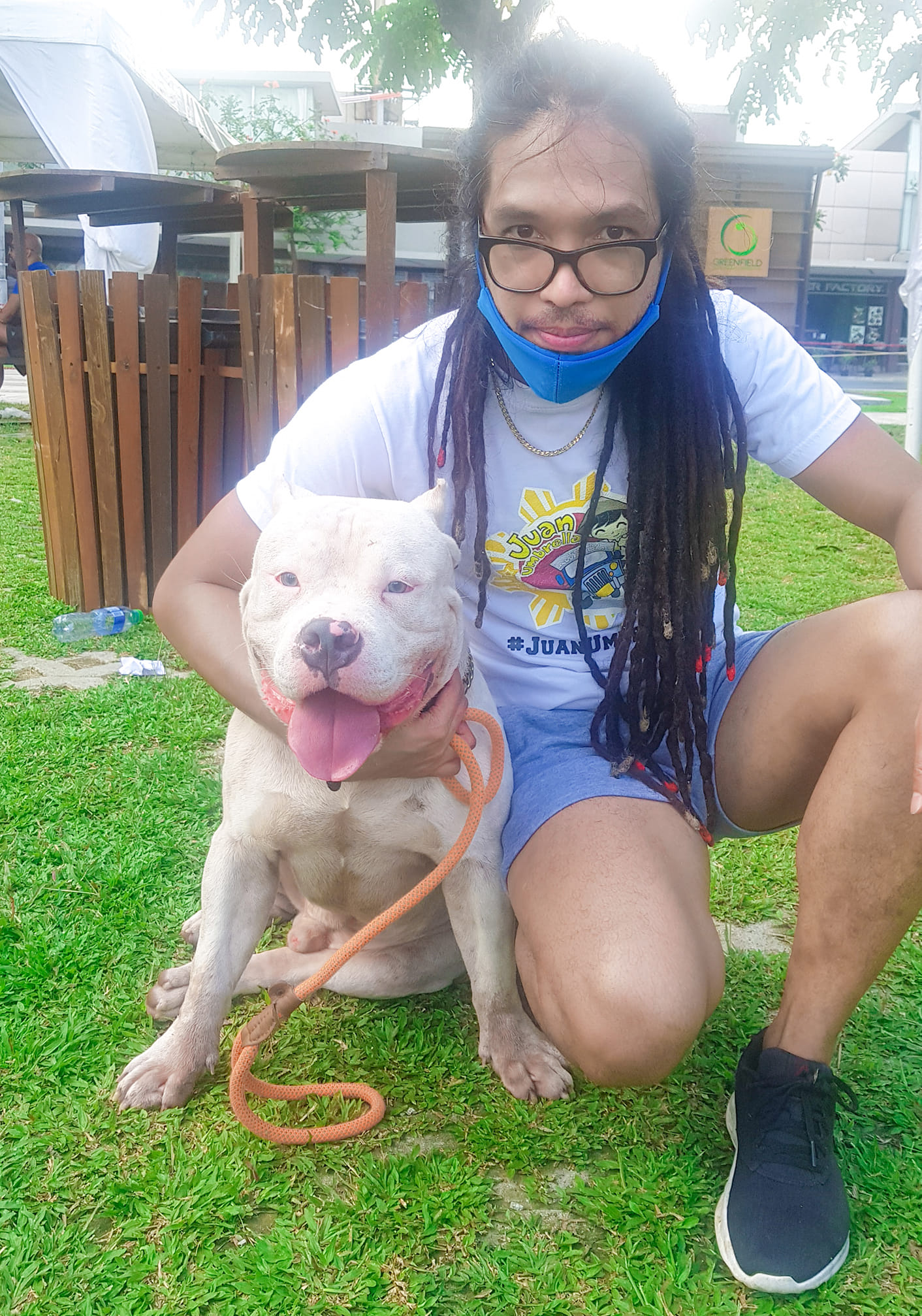  Tips On How To Become Alpha Leader Over Your Dogs I Tansyong 