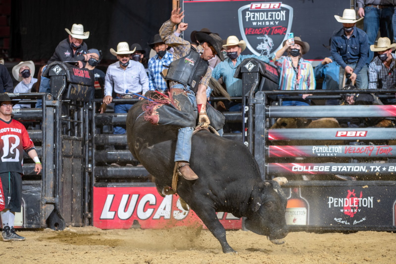 Chiseled - Professional Bull Riders