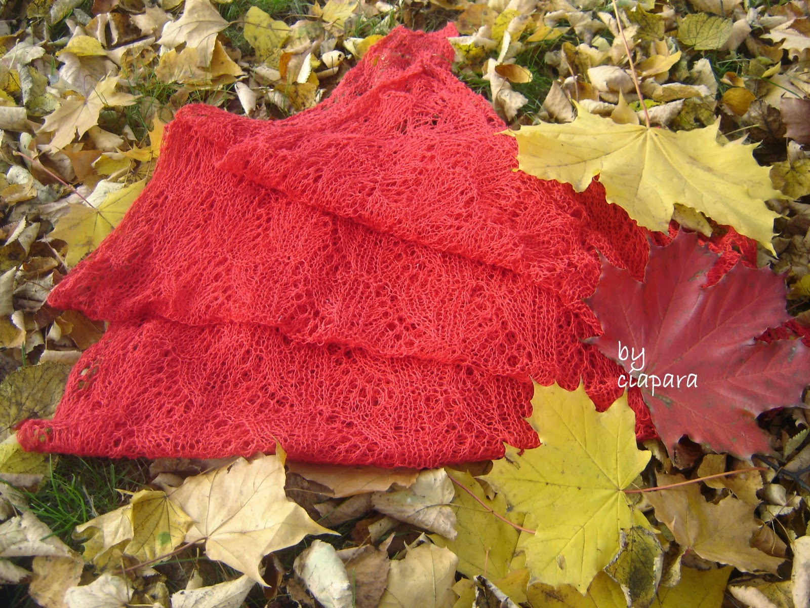 http://mojerobotkowanie.blogspot.com/2014/10/cobweb-in-shawls-lace.html