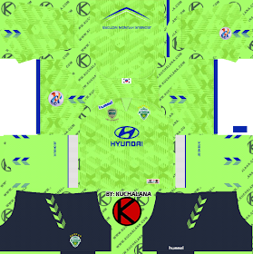 Jeonbuk Hyundai Motors FC 2019 ACL Kit - Dream League Soccer Kits