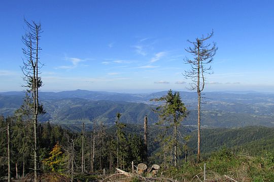 Widok ze Średniego Gronia (1225 m n.p.m.) - drugiego wierzchołka Lubania. Widok ze Średniego Gronia (1225 m n.p.m.) - drugiego wierzchołka Lubania.