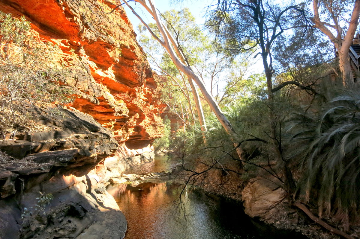 Walk on the Abyss of the Garden of Eden in Kings Canyon in Australia