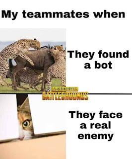 PUBG Funny Pictures