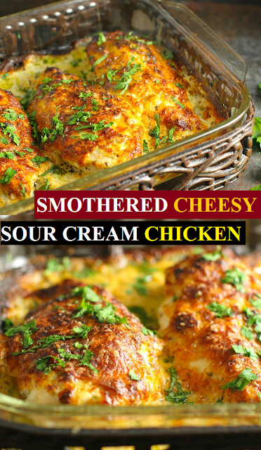 1254 SMOTHERED CHEESY SOUR CREAM CHICKEN
