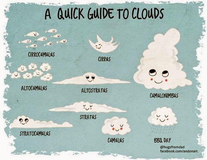 infographic about the shape of clouds forma de las nubes infografía