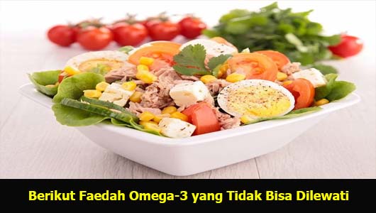 Berikut Faedah Omega-3 yang Tidak Bisa Dilewati