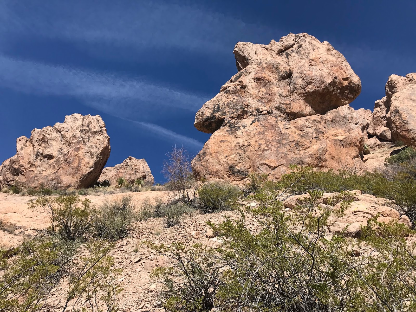 Southern New Mexico Explorer Organ Mountains Wilderness, Organ